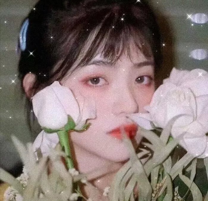 彼特和万迪